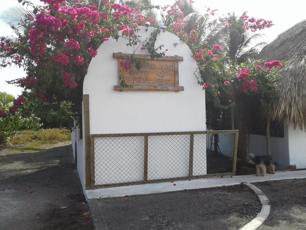 Bungalows Familiares Monterrico Luaran gambar
